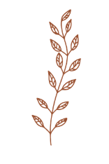 Finding Balance botanical
