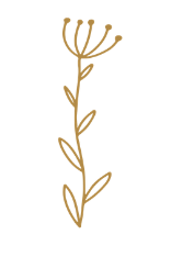 Understanding Yourself - botanical